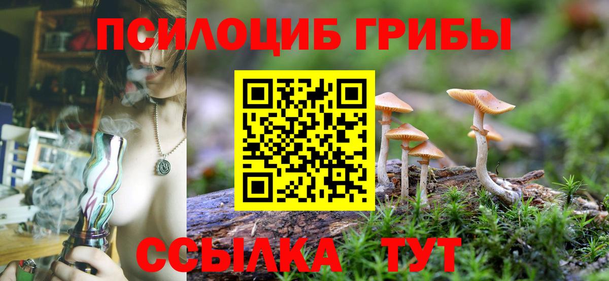 Владимир  Галлюциногенные грибы мицелий  Псилоцибиновые грибы ЛСД  Вход с VPN 