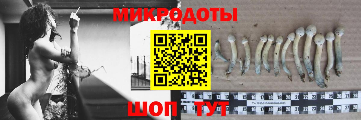 Галлюциногенные грибы Magic Shrooms Владимир